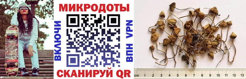 Галлюциногенные грибы ЛСД  купить   Большой Камень 